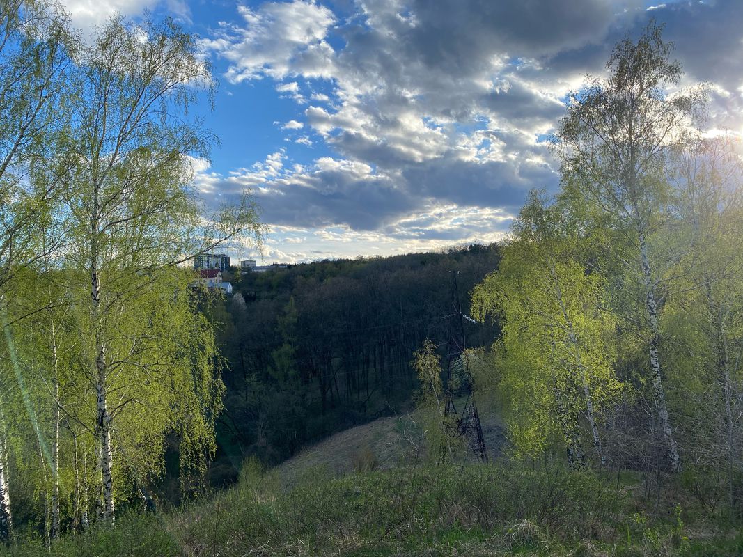 Львів