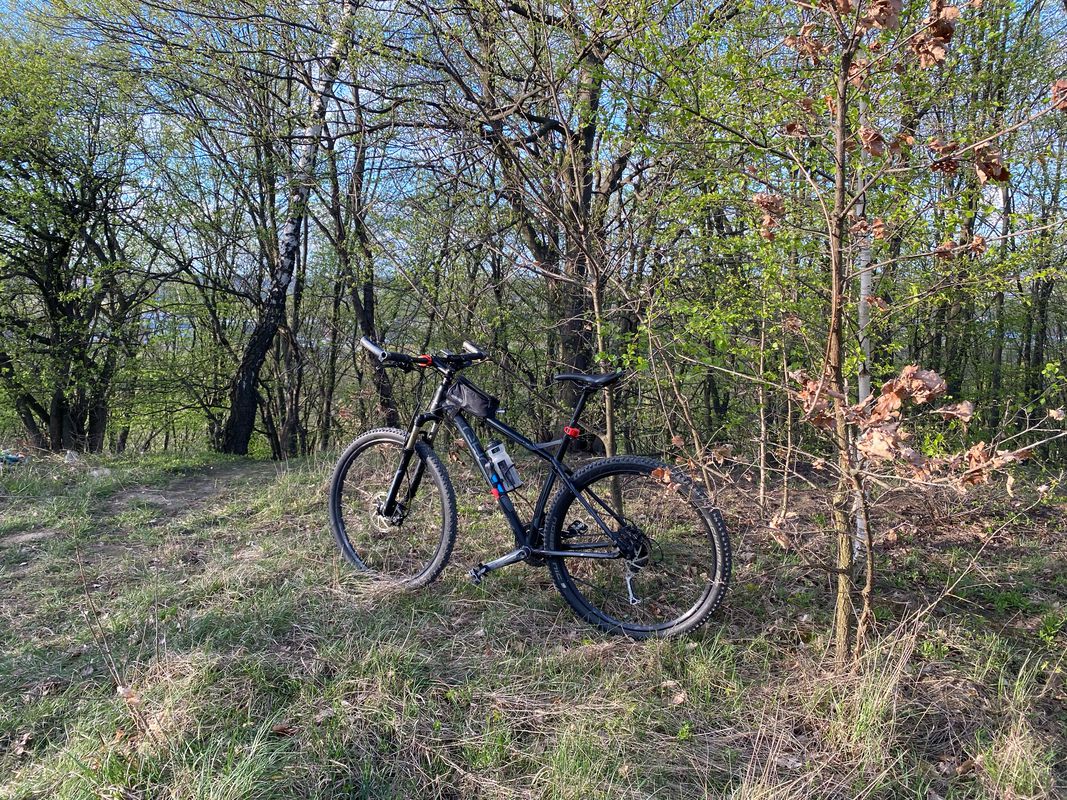 Львів