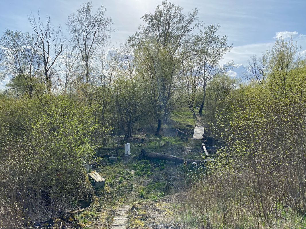 Kępa Wieloryb+widok na Wisłę