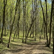 drienovska n.ves-haniska