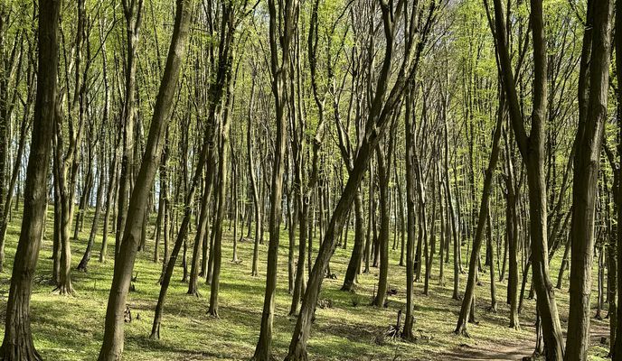 Foto 1 der Bikemap-Route "drienovska n.ves-haniska" Foto 1 der Bikemap-Route "drienovska n.ves-haniska"