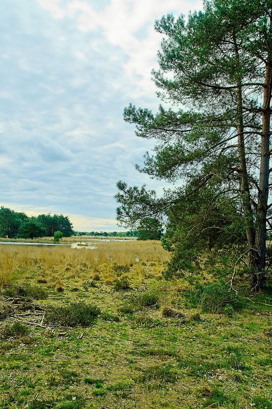 Ff dwalen over de Strabrechtse heide en omstreken
