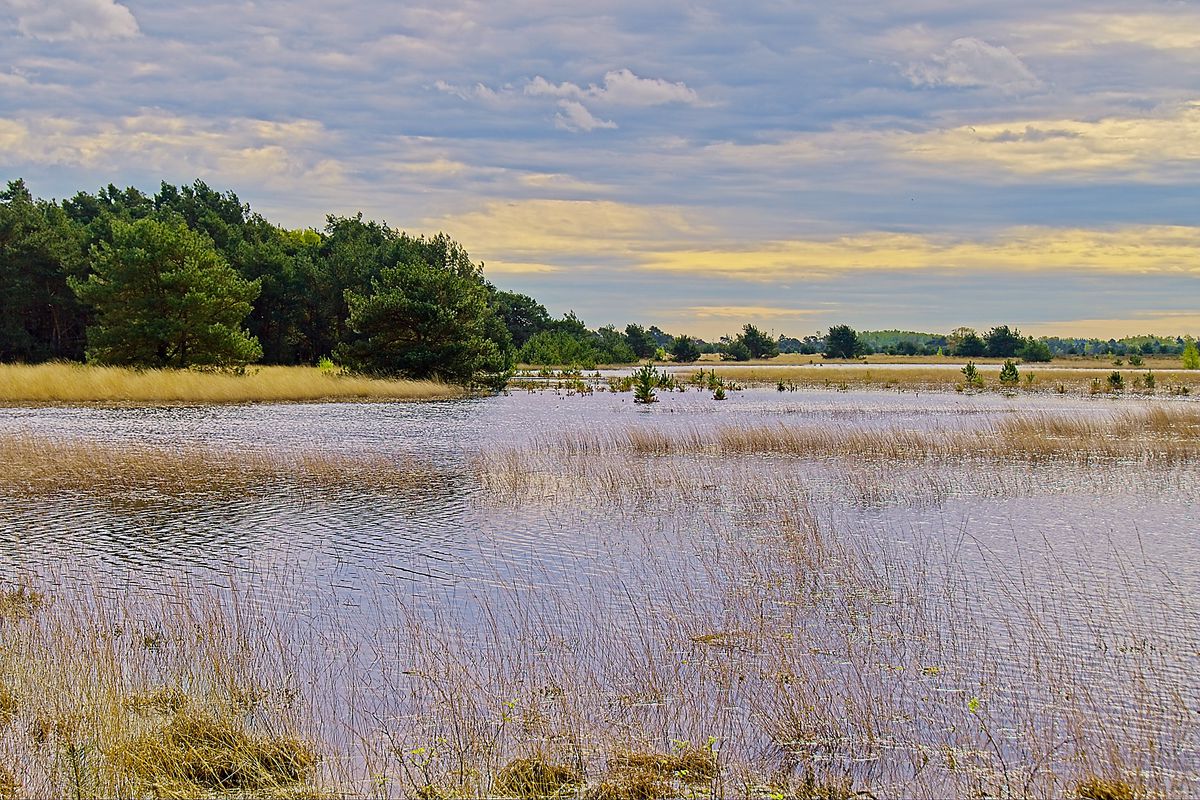 Ff dwalen over de Strabrechtse heide en omstreken