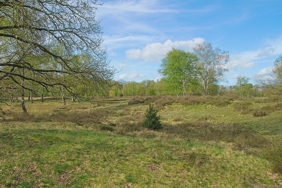 Ff dwalen over de Strabrechtse heide en omstreken