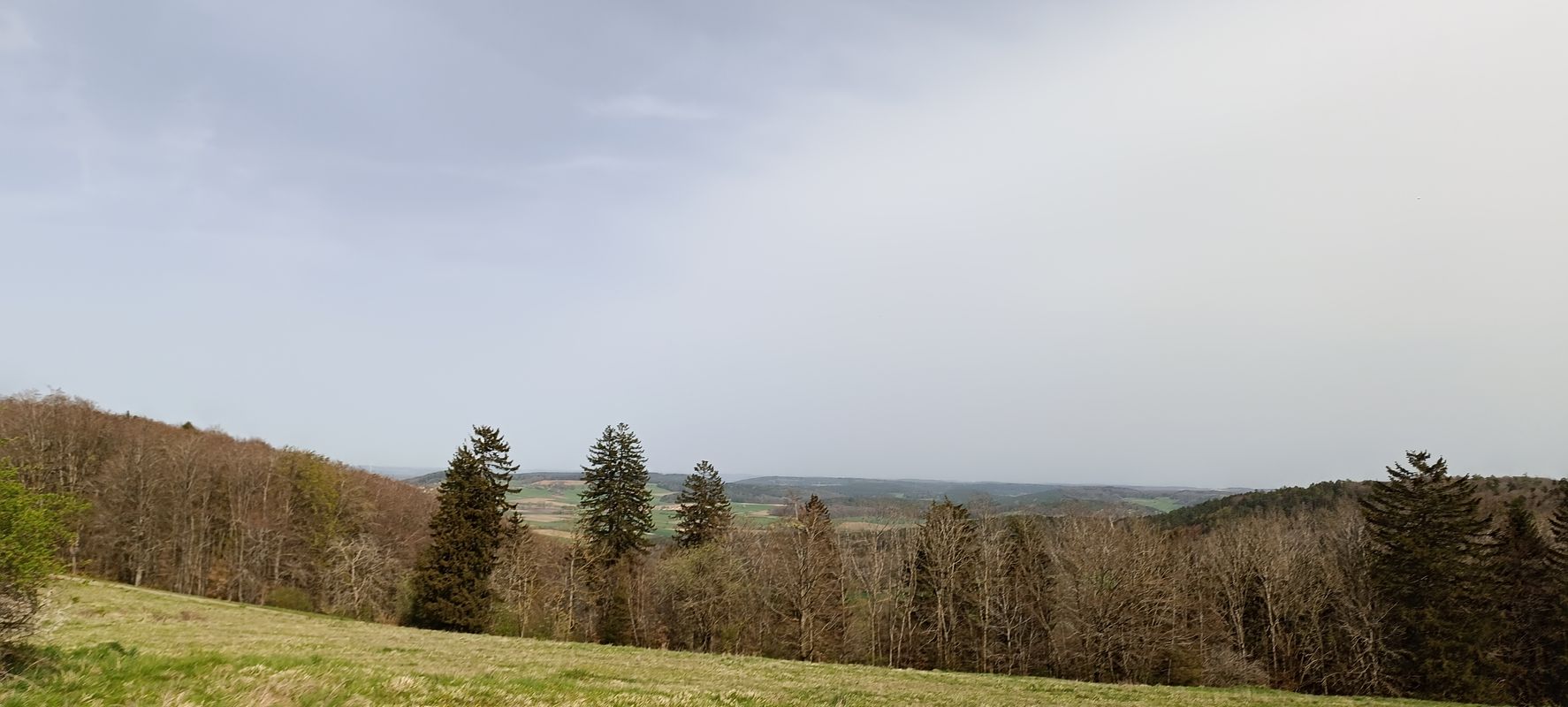 Reichersdorf nach Eckmannshofener Straße 41/1, Thalmässing