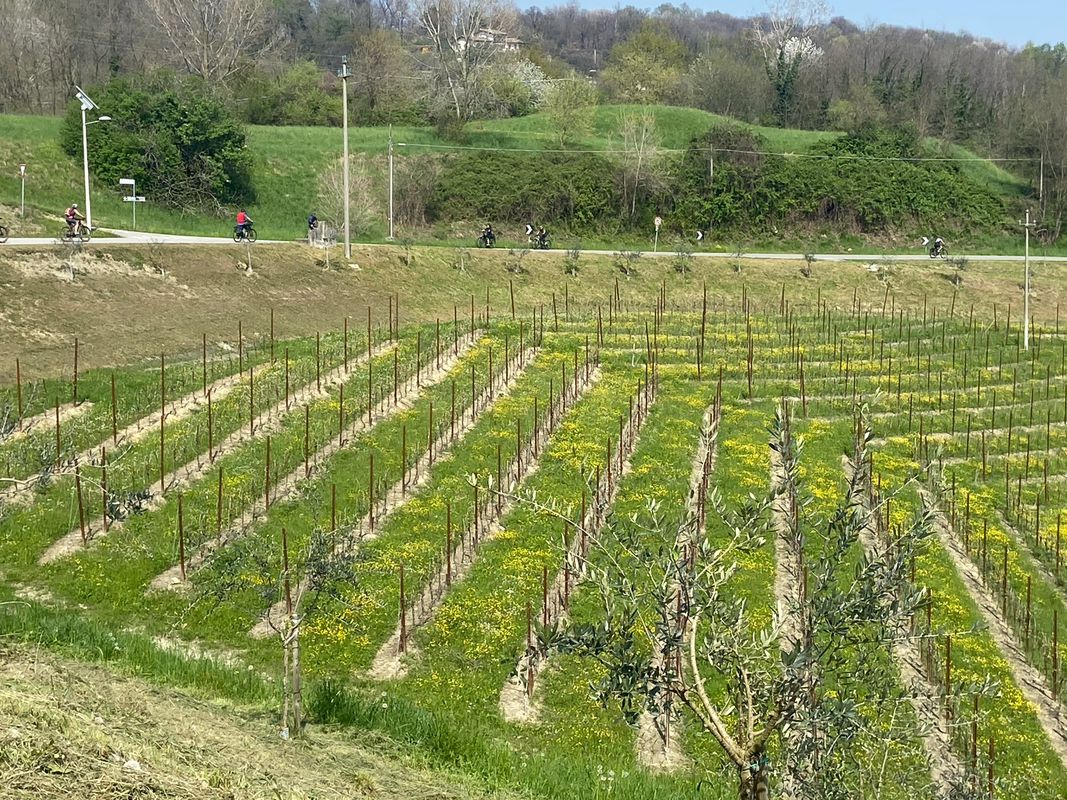 Via Zona Industriale 43 …7 Aprile 2024..giro dei colli di Asolo