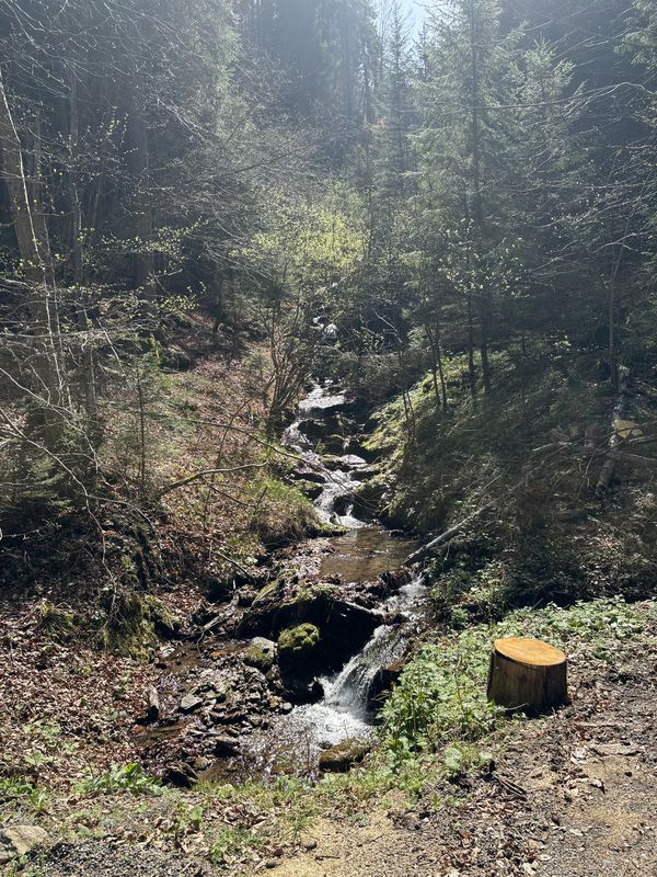 Robindvor 61, Dravograd to Robindvor 63, Dravograd