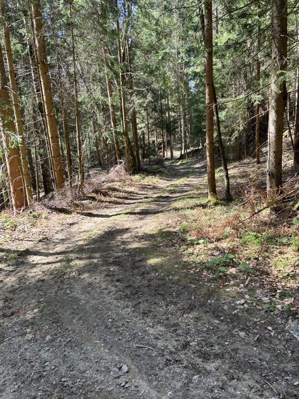 Robindvor 61, Dravograd to Robindvor 63, Dravograd