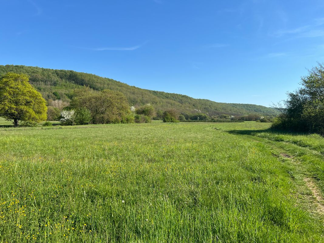 Tinjan - Vosteni - Lim - Draga - Tinjan