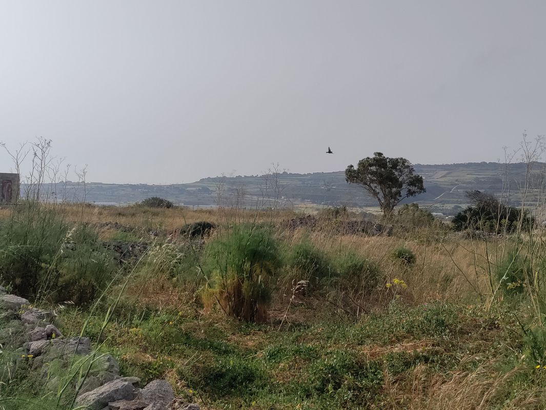 Mosta, Burmarrad, Bidnijja, Mgarr and back to Mosta