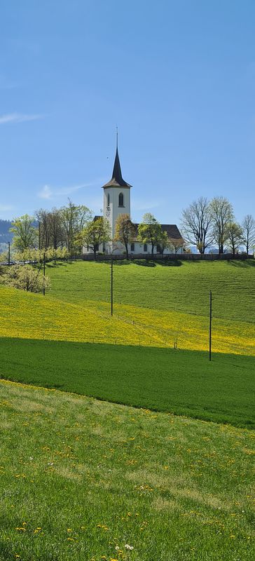 Wahlerechiuchli obedüre
