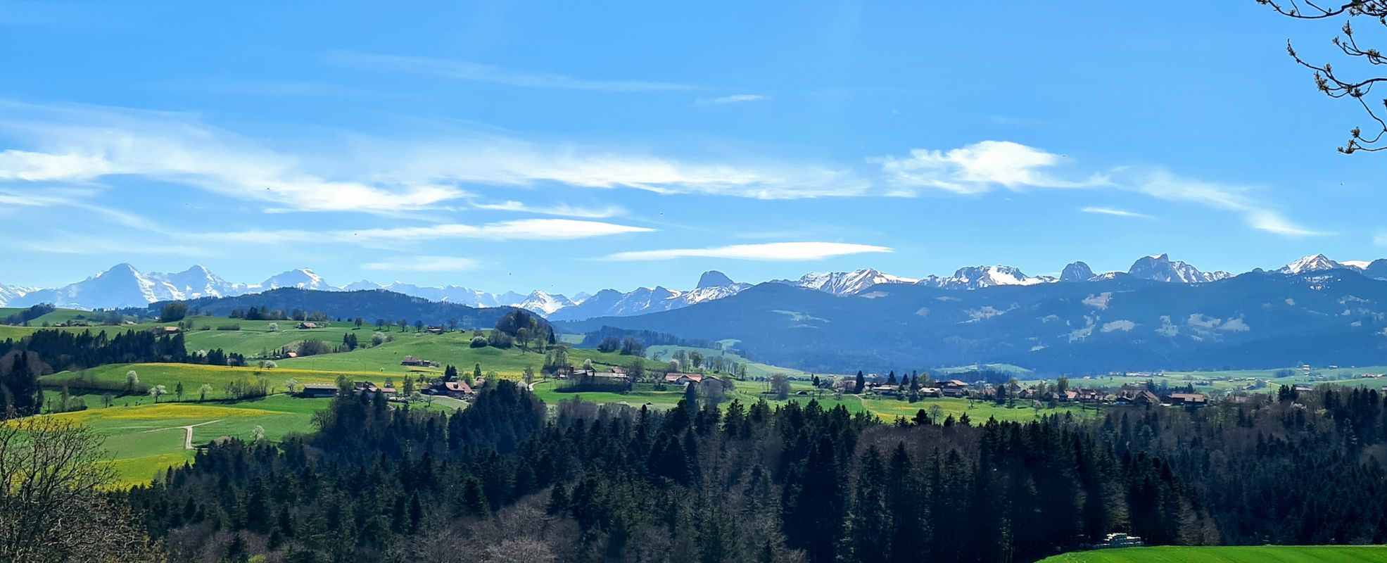 Wahlerechiuchli obedüre