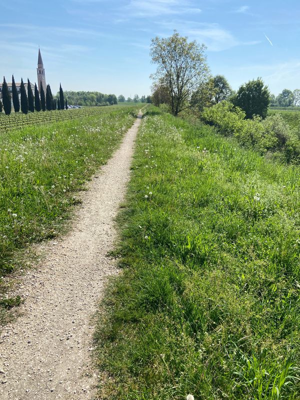 San Vendemiano Codognè Oderzo ponte di Piave negrisia ormelle  Sanpolo Vazzola casa