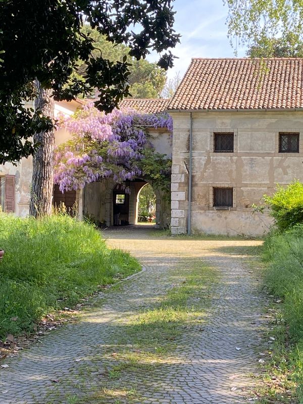 San Vendemiano Codognè Oderzo ponte di Piave negrisia ormelle  Sanpolo Vazzola casa