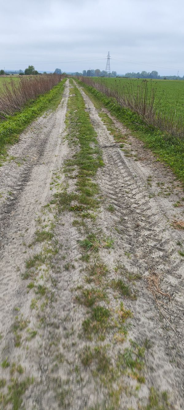 Foto 1: Cieślówka