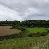 Photo 7 of the Bikemap route "Чортків - Буданів - Струсів - Теребовля"