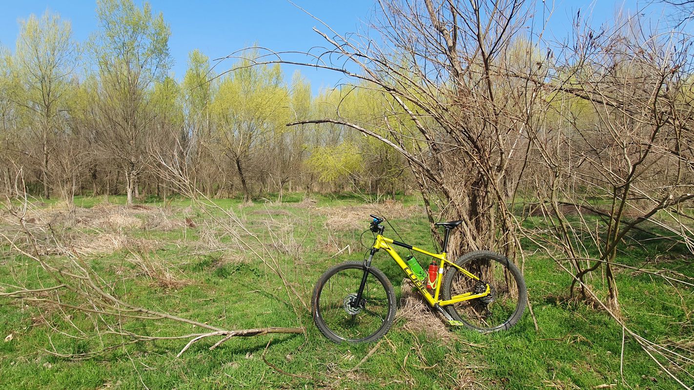 Dunarea MTB Green 59 km (ADE 291) Oltenita - raul Arges - Dunarea - Stancea - Spantov - Oltenita