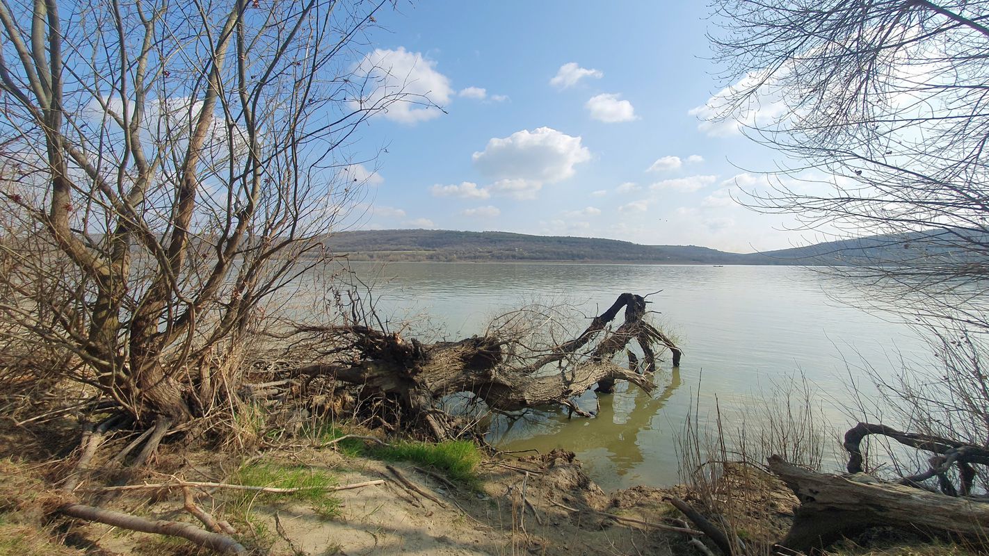 Dunarea MTB Green 59 km (ADE 291) Oltenita - raul Arges - Dunarea - Stancea - Spantov - Oltenita