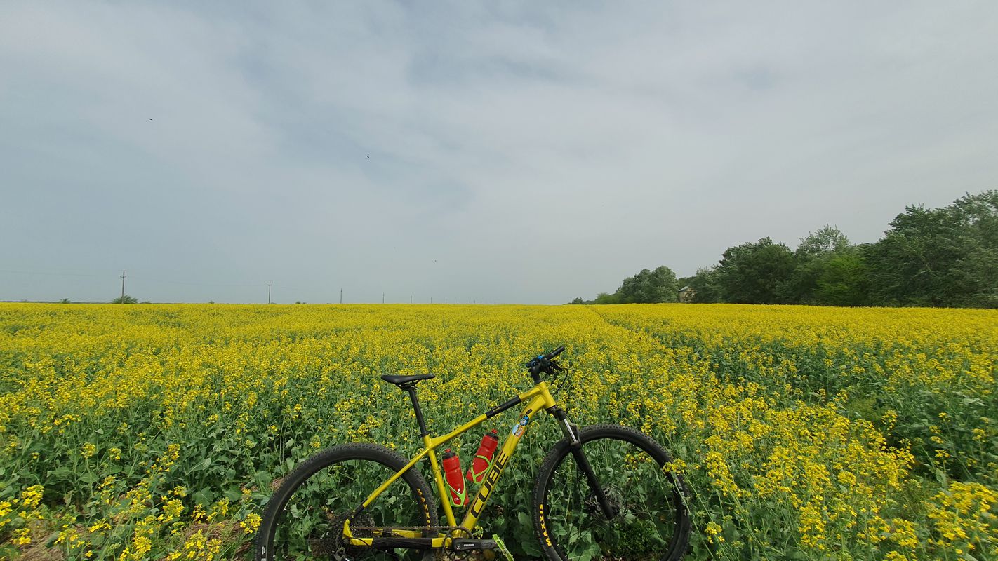 Dunarea MTB Blue 82 km (ADE 292) Oltenita - Dunarea - Manastirea - Spantov - Oltenita