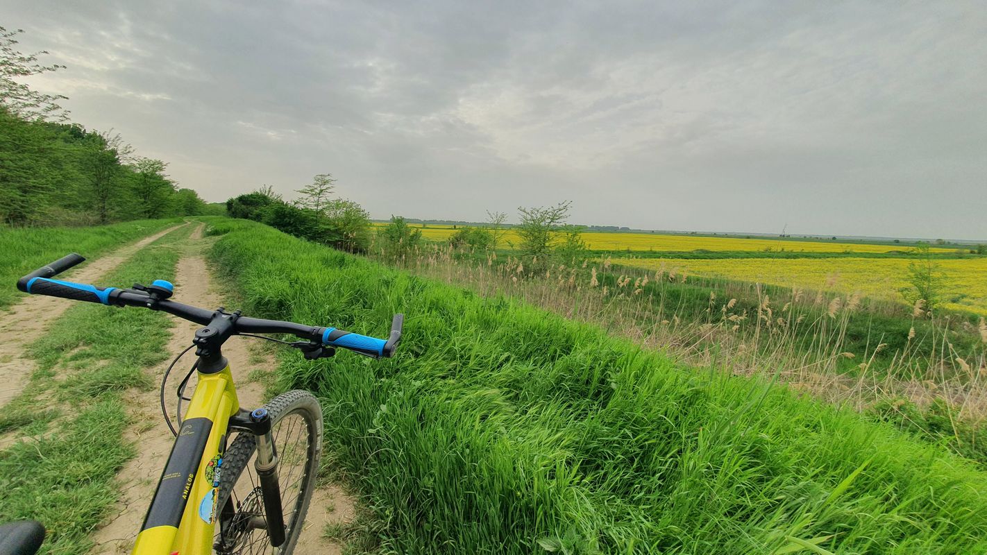 Dunarea MTB Blue 82 km (ADE 292) Oltenita - Dunarea - Manastirea - Spantov - Oltenita