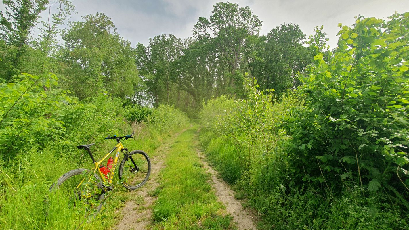 Dunarea MTB Blue 82 km (ADE 292) Oltenita - Dunarea - Manastirea - Spantov - Oltenita