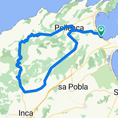 Pollentia Club - Lluc