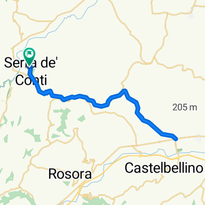 Run through the hills! (Serra de' Conti - Moie)