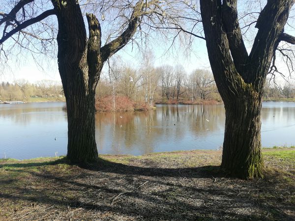 Foto 2: Мирон