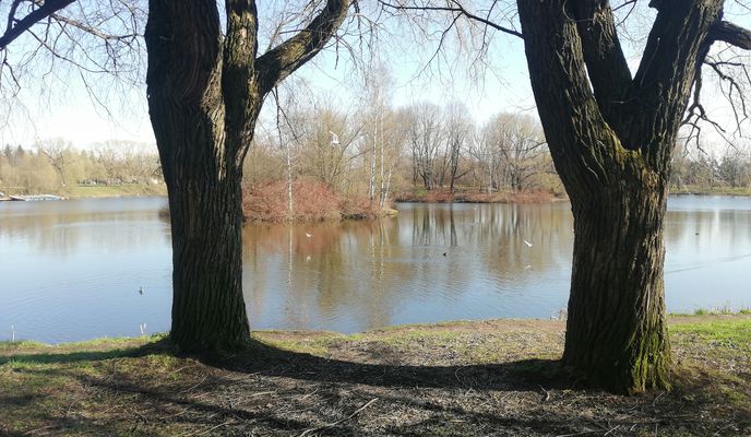 Foto 2 der Bikemap-Route "От Геологическая улица 75 корпус 2, Санкт-Петербург до Геологическая улица 75 корпус 2, Санкт-Петербург"