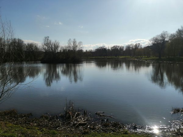 Foto 3: Мирон