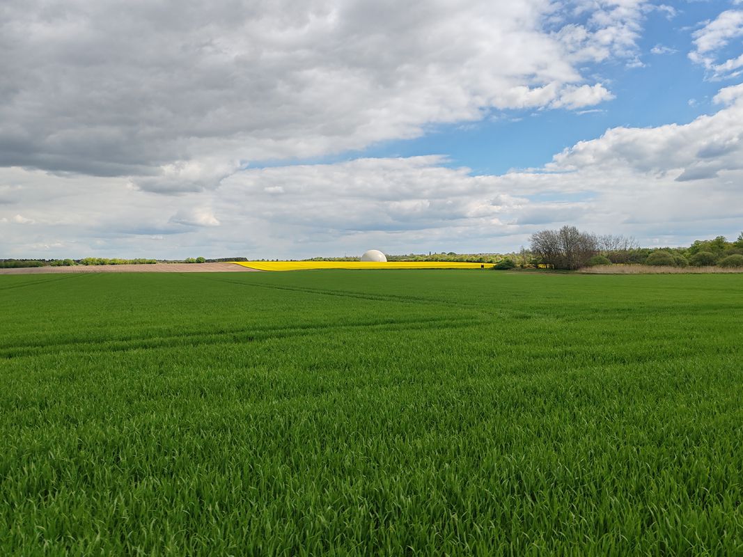 Toitewinkel - Schwanheide - Train Tour