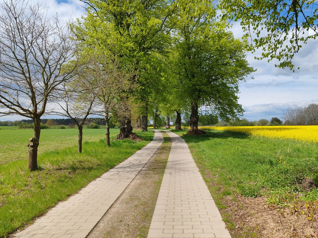 Toitewinkel - Schwanheide - Train Tour