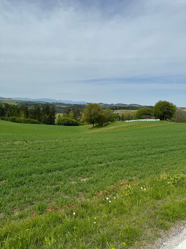 Bucklige Welt Runde ab Bad Schönau