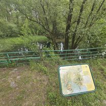 От Geroldsauer Straße 21, Baden-Baden до Geroldsauer Straße 19, Baden-Baden