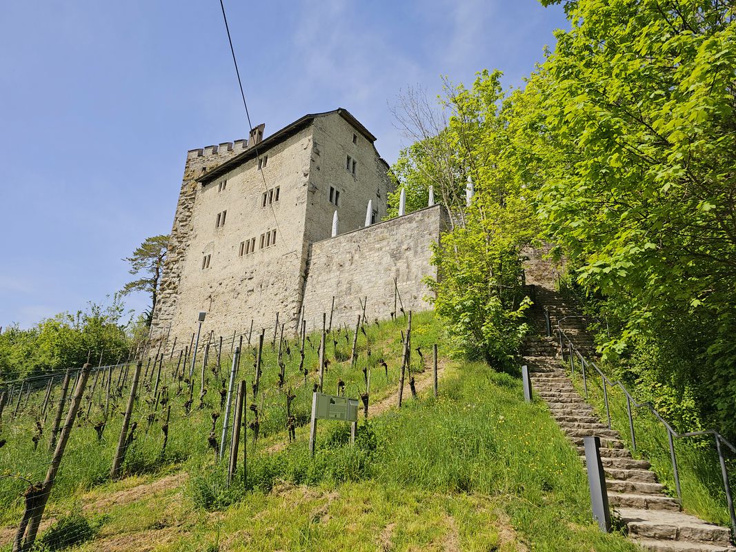 Rütihof-Besuch Zulauf-Rütihof
