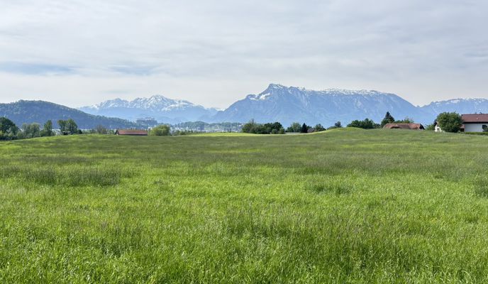 Foto 2 der Bikemap-Route "Salzburg – Oberndorf – Laufen – Freilassing – Salzburg"