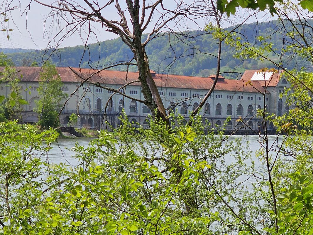 Rütihof - Klingnauer Stausee - Rütihof