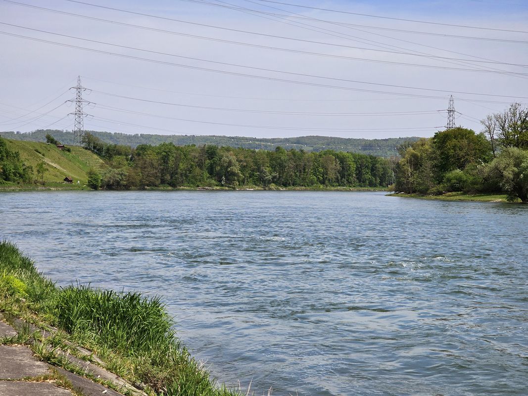 Rütihof - Klingnauer Stausee - Rütihof
