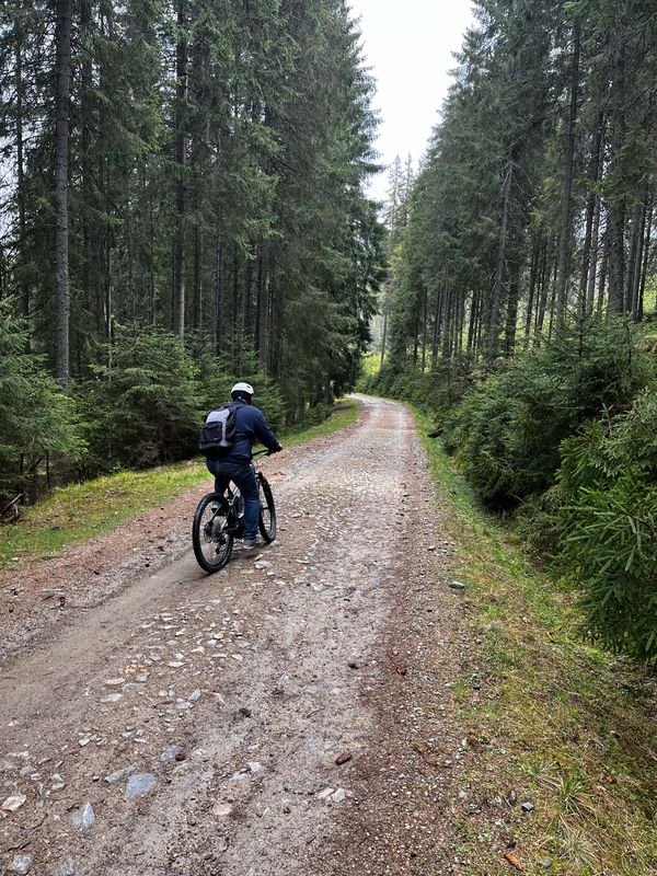 Sureanu - valea Cugirului - Cugir