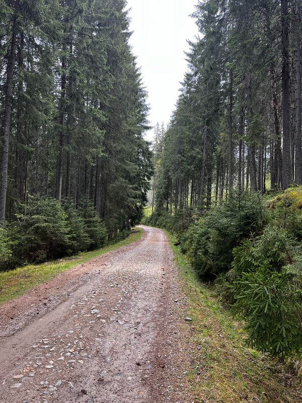 Sureanu - valea Cugirului - Cugir