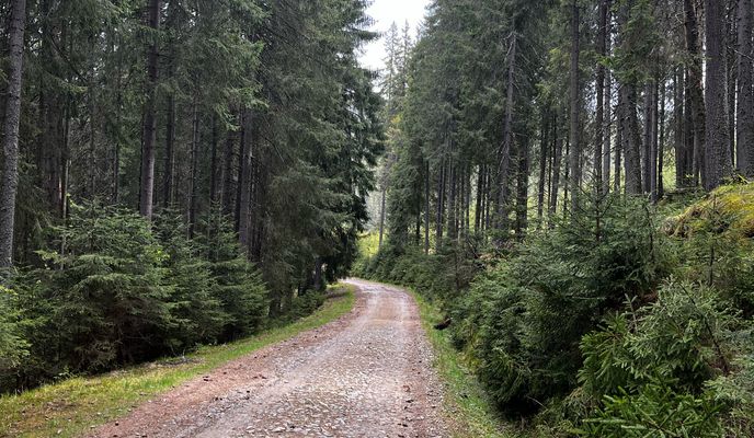 Photo 2 of the Bikemap route "Sureanu - valea Cugirului - Cugir" Photo 2 of the Bikemap route "Sureanu - valea Cugirului - Cugir"