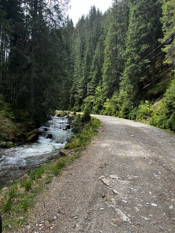 Sureanu - valea Cugirului - Cugir