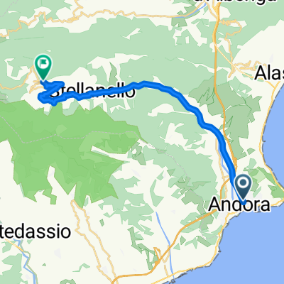 andora-testico CLONED FROM ROUTE 67571