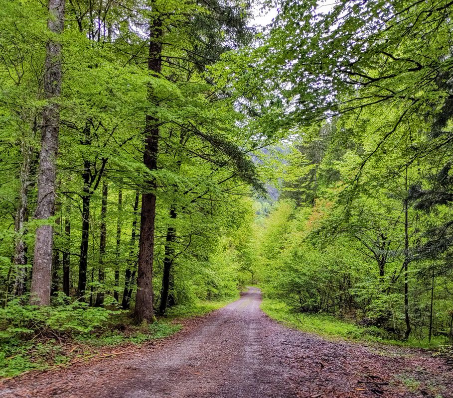 St.Stefan-Vorderberg Bahnhof - Gailtal Radweg - Waidegg
