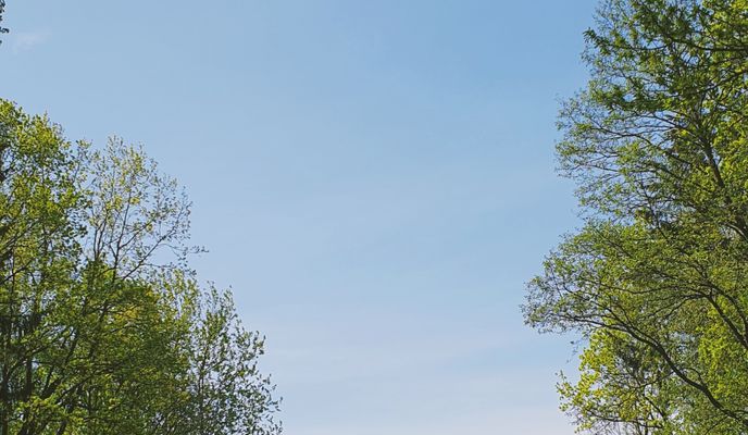 Foto 1 de la ruta de Bikemap "Ждановічы - Ратамка - Табары - Пціч"