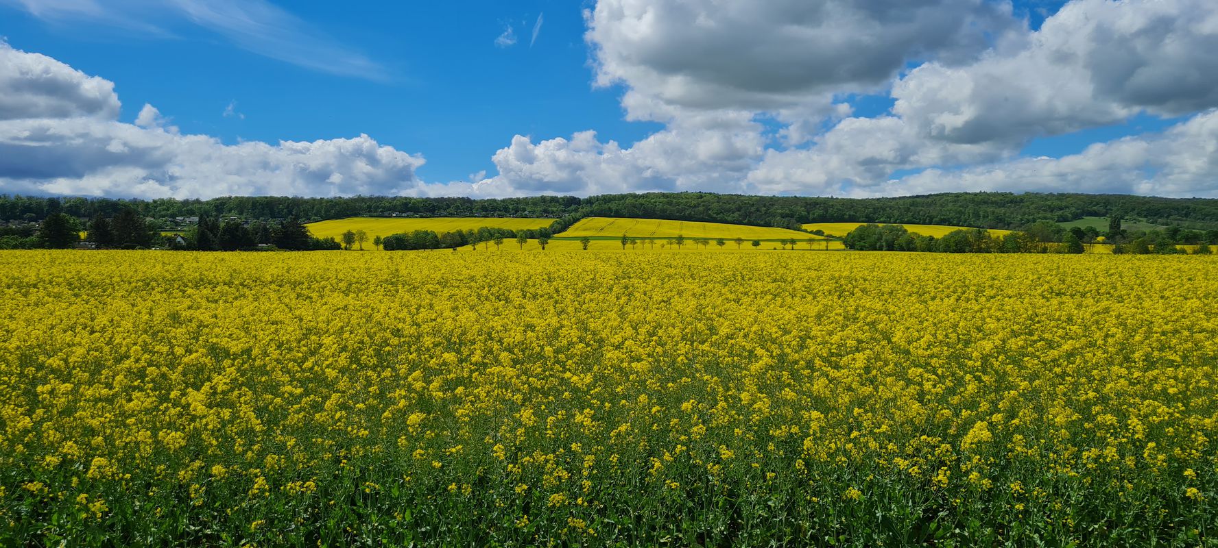 Berggarten Stausee Friemar
