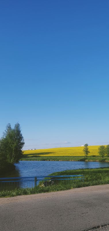 Ждановічы - Ратамка - Табары - Дзегцяроўка - Каменная горка - Ждановiчы