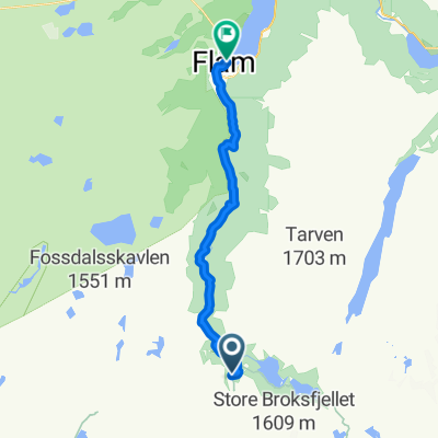 abwärts von Myrdal nach Flam