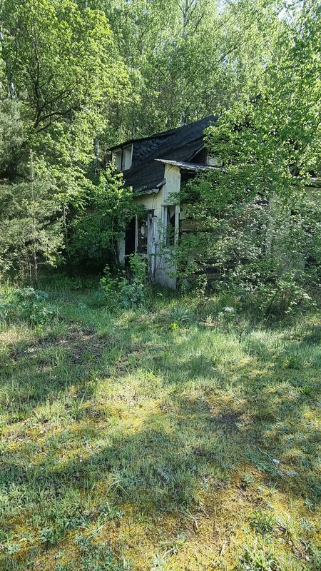 Lichtentanne 4, Probstzella nach L2376 47, Probstzella