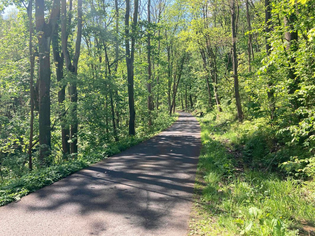 Ryjice, Slavošov, Šachov, kávička v Děčíně a domů